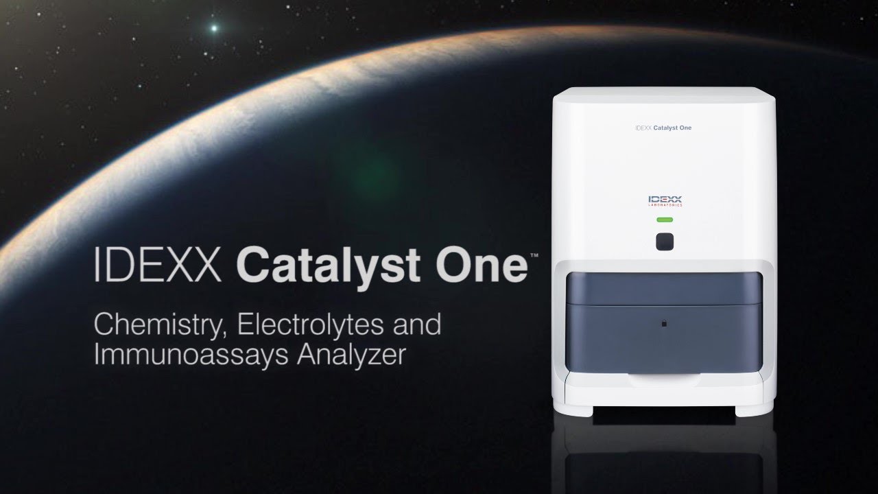 Mastering the IDEXX Catalyst One Chemistry Analyzer
