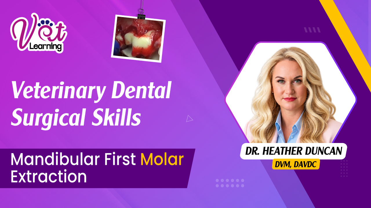 Mandibular First Molar Extraction