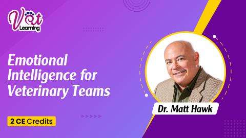 Emotional Intelligence for Veterinary Teams